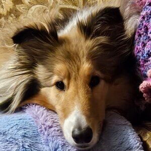 ICC - Selling stuff for my wife!